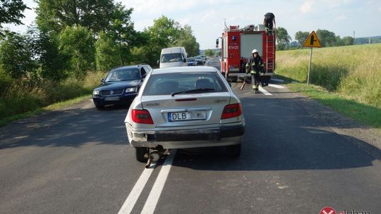 Kolizja między Biedrzychowicami a Olszyną