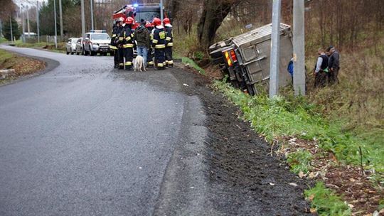 Przewoził bydło, wypadł z drogi