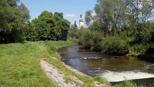 Rzeka w mieście