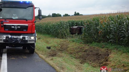 Zakończyły podróż w polu kukurydzy