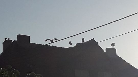 Hotel sejmowy na Łąkowej w Lubaniu
