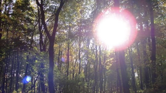 Lubań i okolice w obiektywie uczniów