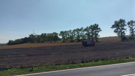 Podpalenie pól koło Henrykowa