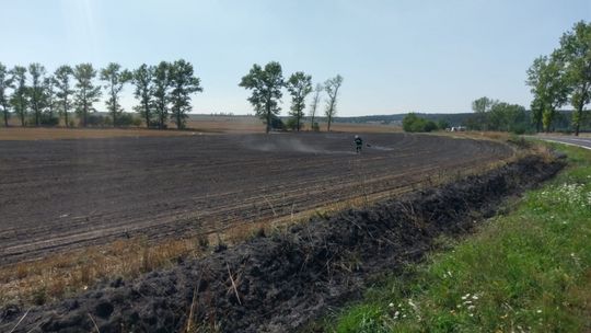 Podpalenie pól koło Henrykowa