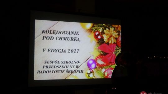 Czas ubrać choinkę