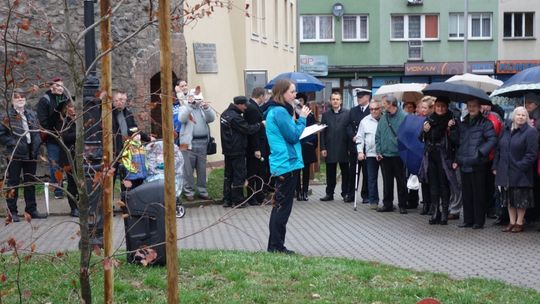 Buk - DAR organizacji pozarządowych dla Lubania