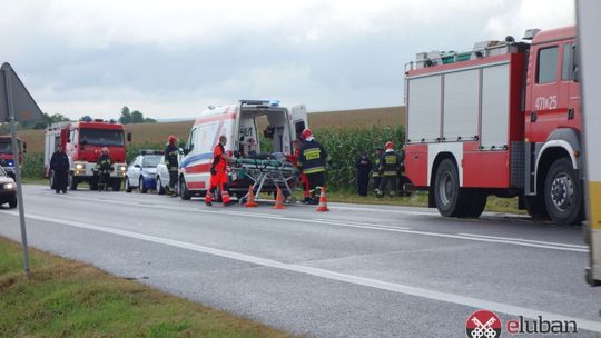 Zakończyły podróż w polu kukurydzy