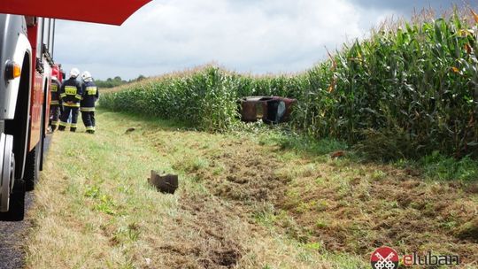 Zakończyły podróż w polu kukurydzy