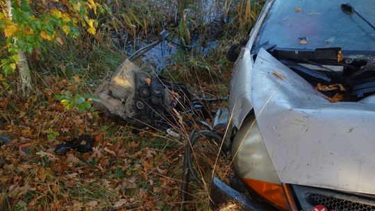 Dachowanie między Wesołówką a Pisarzowicami