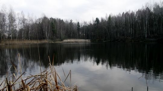 Posprzątali pomnik przyrody