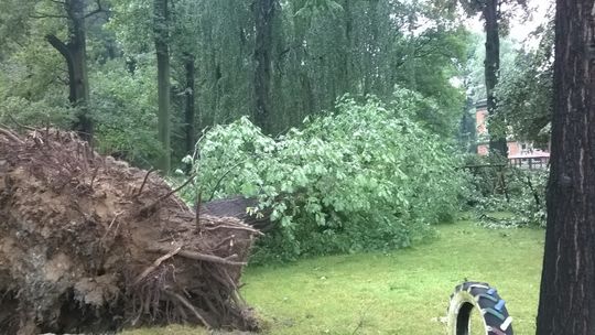 24 interwencje strażaków