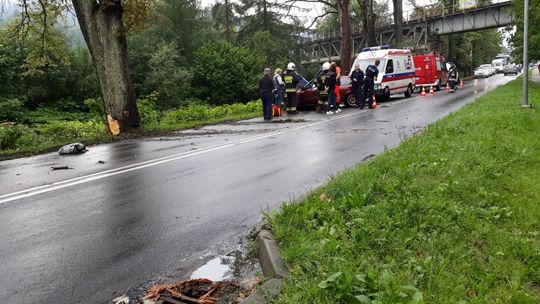 Hondą w drzewo. Kolejne zdarzenie drogowe