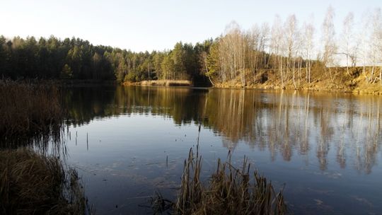 Posprzątali pomnik przyrody