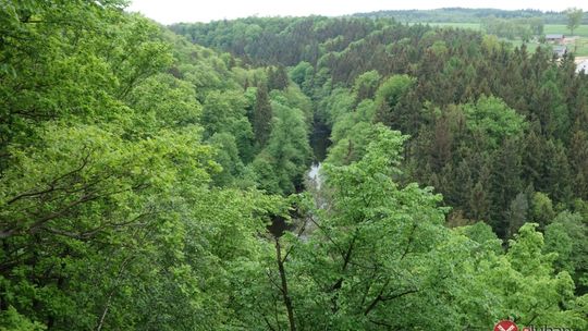 Rodzina Roku 2017