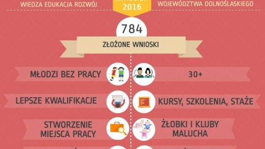 Setki wniosków po miliony z DWUP