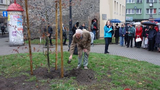 Buk - DAR organizacji pozarządowych dla Lubania