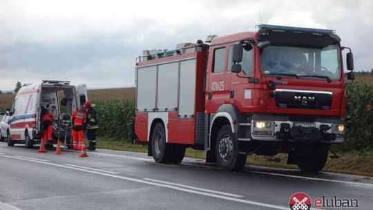 Zakończyły podróż w polu kukurydzy