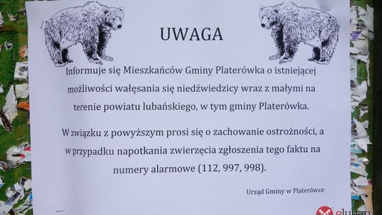 &quot;Najbardziej przypominało niedźwiedzia&quot;