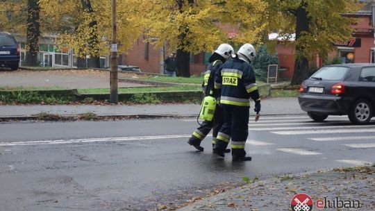 Olej na drodze między Lubaniem a Leśną