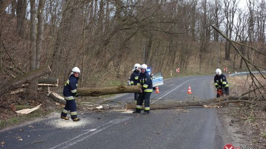 Silny wiatr daje się we znaki