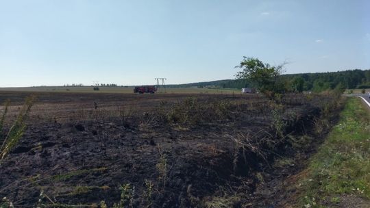 Podpalenie pól koło Henrykowa