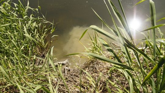 Aktywne działania nad wodą