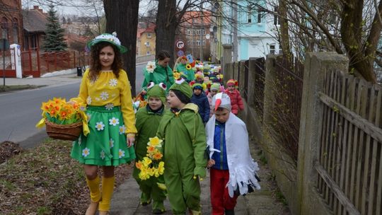 Wszystko budzi się do życia i zakwita – znak, że Wiosna do nas wita!