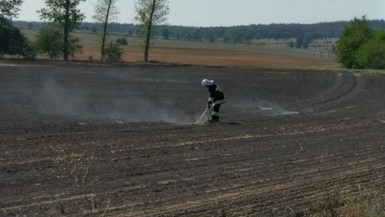 Podpalenie pól koło Henrykowa
