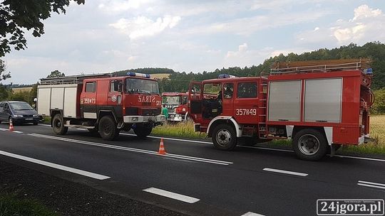 Posadziła dziecko na kolanach i wjechała w drzewo