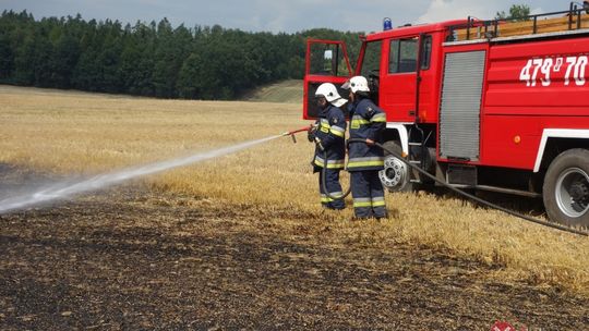 W Siekierczynie spłonęły dwa hektary żyta