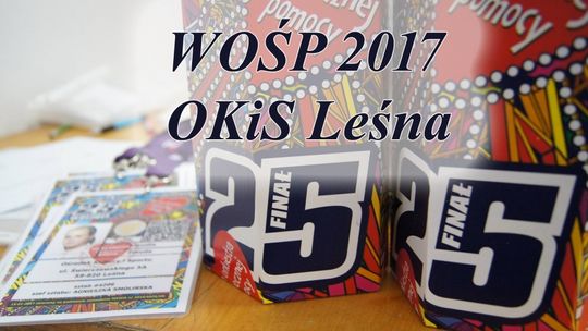 Lubań, Leśna, Świeradów-Zdrój - Rekordowy WOŚP 2017