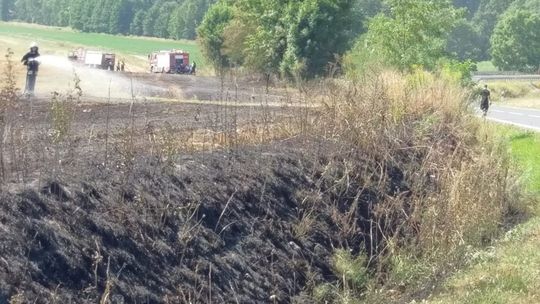 Podpalenie pól koło Henrykowa