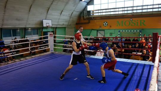 Ring wolny – boks!