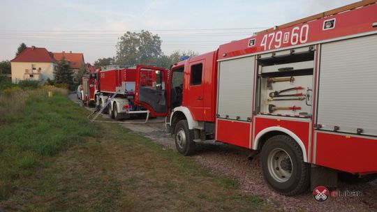 Doprowadził do pożaru na ogródkach działkowych?