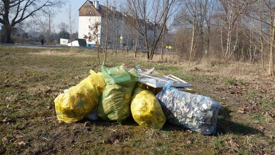 Wiosenne porządki