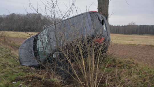 Samochód wylądował na drzewie