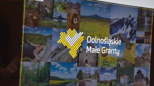 „Dolnośląskie Małe Granty”