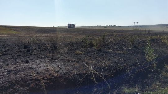 Podpalenie pól koło Henrykowa