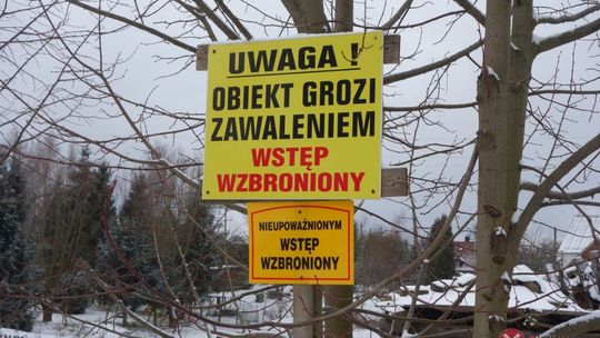 Psy wracają do właściciela pseudohodowli