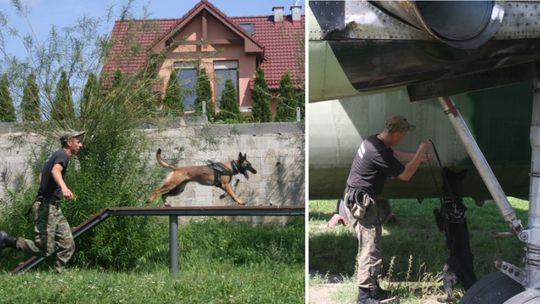 Nowi specjaliści do wyszukiwania materiałów wybuchowych i broni