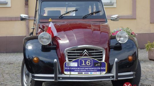 Citroeny opanowały lubański rynek