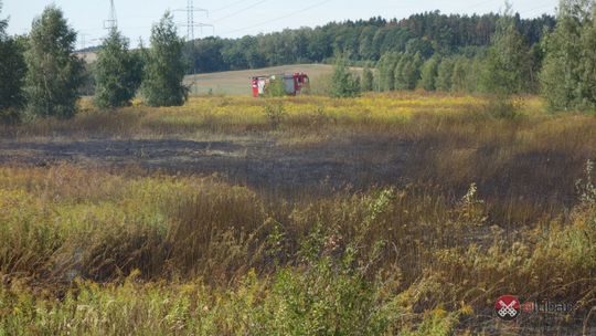 Pożar nieużytków