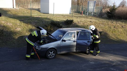 Młodzież zapobiega pożarom