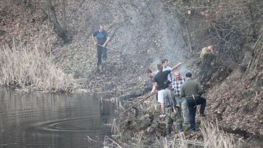 Porządki nad Zielonym