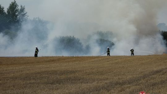 W Siekierczynie spłonęły dwa hektary żyta