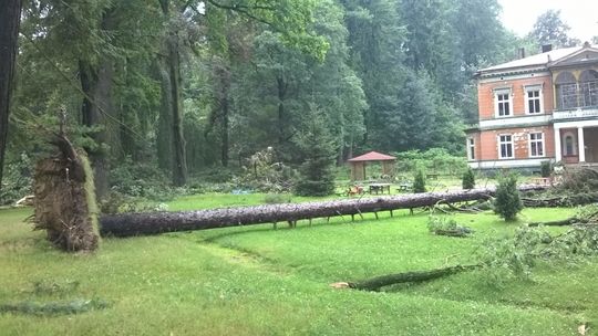 24 interwencje strażaków