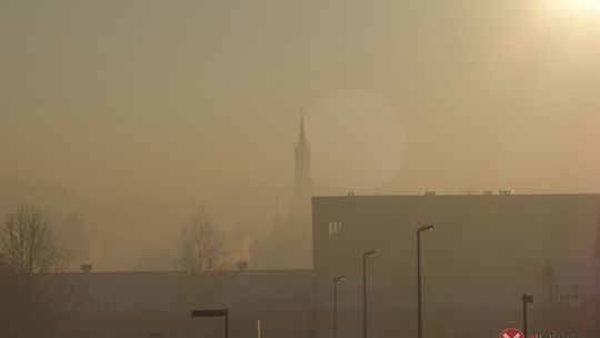 Nie jesteśmy zielonymi płucami regionu