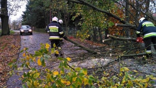 Bilans strat po nawałnicy