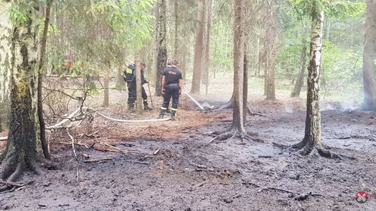 Pożar lasu w Radogoszczy