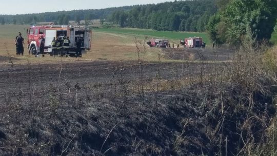 Podpalenie pól koło Henrykowa